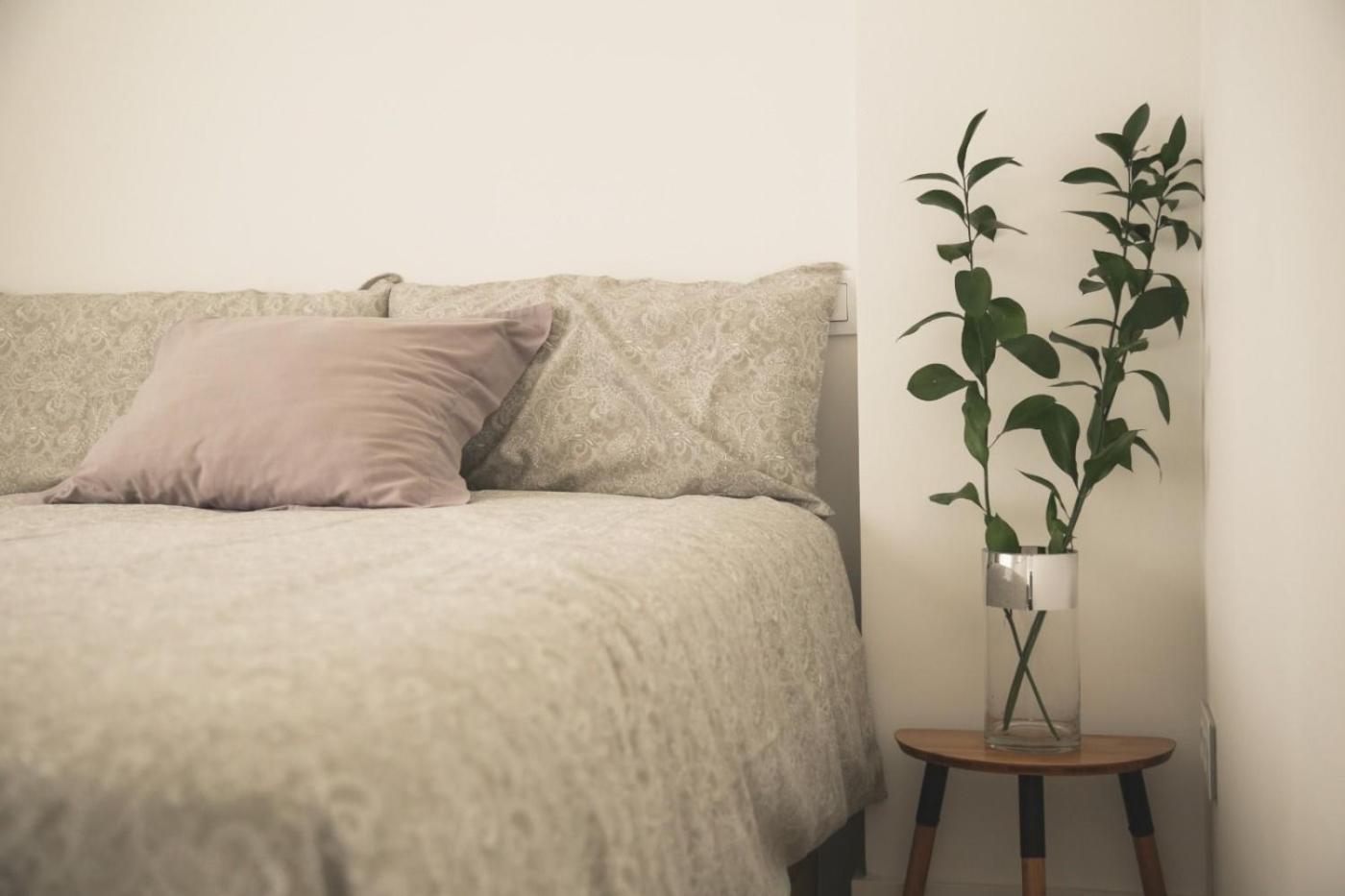 Romantico Apartamento En El Centro Santander Exteriör bild
